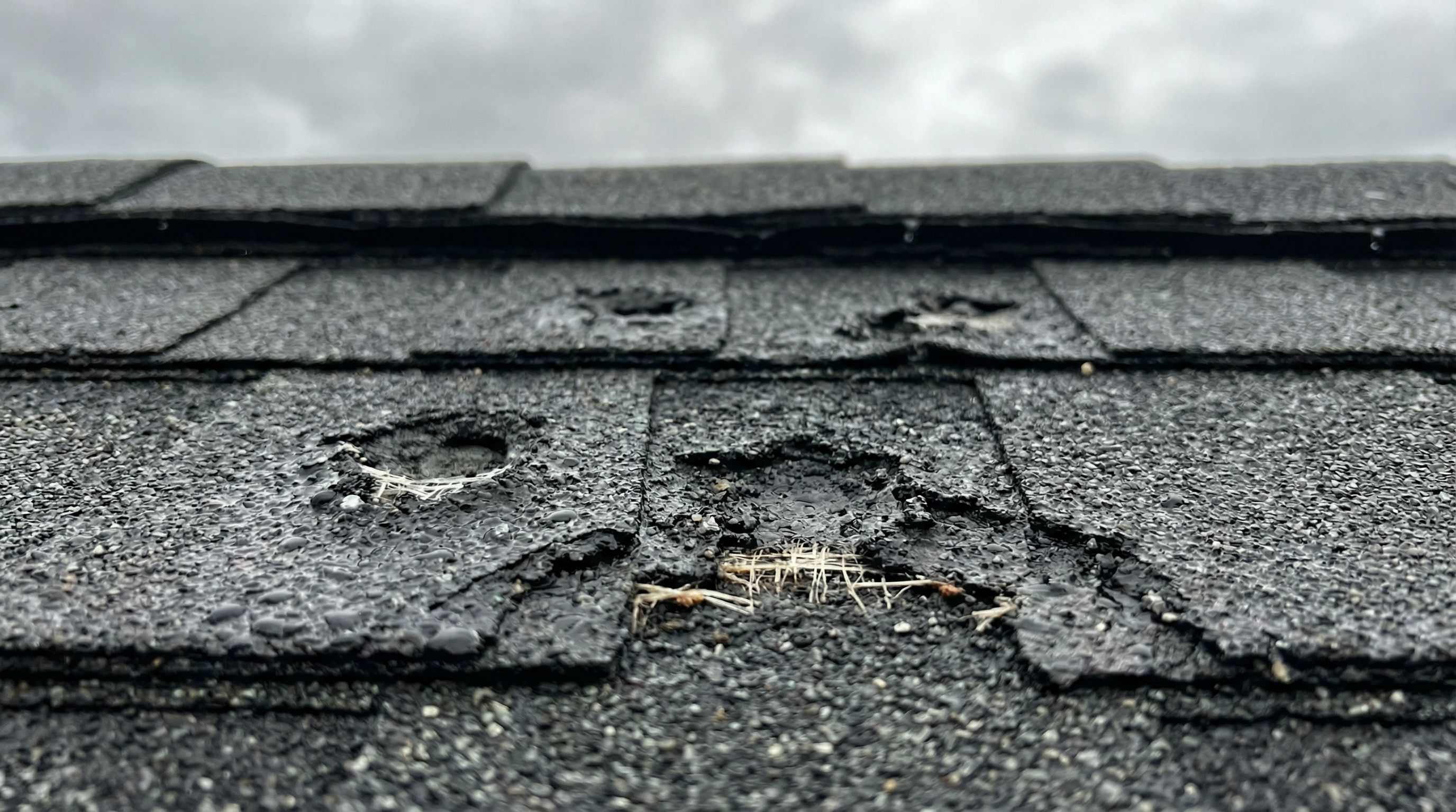 Hail-damaged roof shingles in Houston — storm damage is common in this market